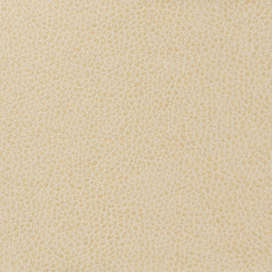 Kravet Basics Matter-111 by Kravet Basics Designer Fabric