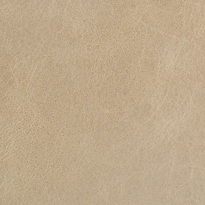 L-Davos-Oatmeal by Kravet Couture Designer Fabric