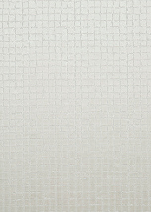 Odyssey Clay by Threads Designer Fabric