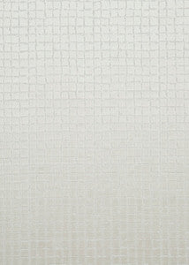 Odyssey Clay by Threads Designer Fabric