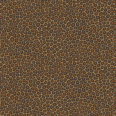 Senzo Spot True Leopard by Cole & Son Designer Wallcovering