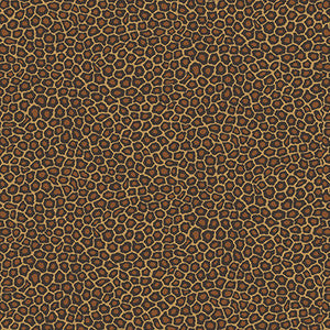 Senzo Spot True Leopard by Cole & Son Designer Wallcovering