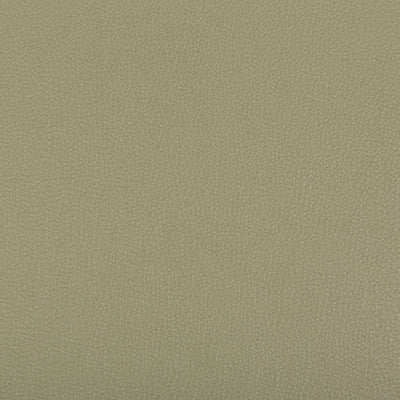 Syrus Sage by Kravet Contract Designer Fabric