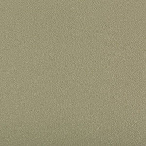 Syrus Sage by Kravet Contract Designer Fabric
