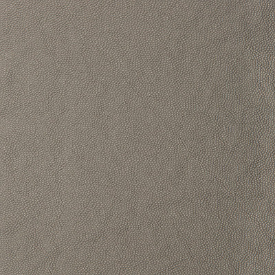 Kravet Smart Aldwin-1121 by Kravet Smart Designer Fabric