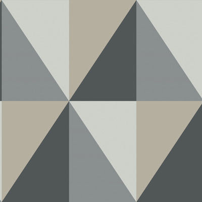 Apex Grand Grey And Black by Cole & Son Designer Wallcovering