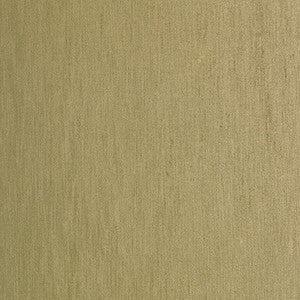 Santianes Musgo by Gaston Y Daniela Designer Fabric