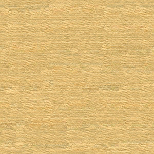 Kravet Smart 32877-116 by Kravet Smart Designer Fabric