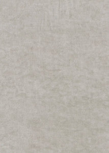 King'S Velvet Silver by G P & J Baker Designer Fabric