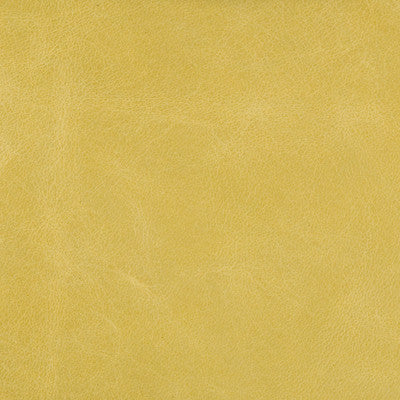 L-Haute-Citron by Kravet Couture Designer Fabric