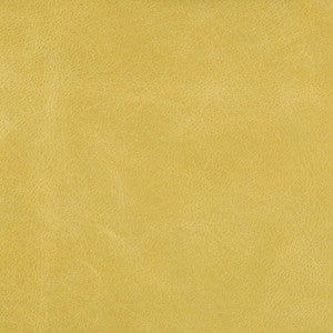 L-Haute-Citron by Kravet Couture Designer Fabric