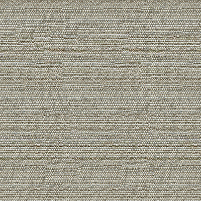 31695-11 by Kravet Couture Designer Fabric