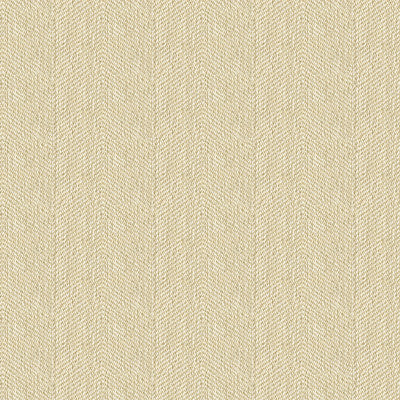 Kravet Smart 33832-116 by Kravet Smart Designer Fabric