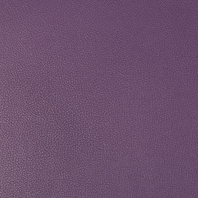 Syrus Grape by Kravet Contract Designer Fabric