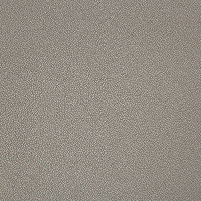 Syrus Truffle by Kravet Contract Designer Fabric