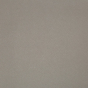 Syrus Truffle by Kravet Contract Designer Fabric