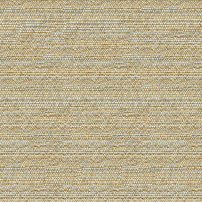 Kravet Couture 31695-1611 by Kravet Couture Designer Fabric