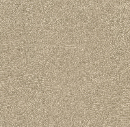 Kravet Design Glendale-1116 by Kravet Design Designer Fabric