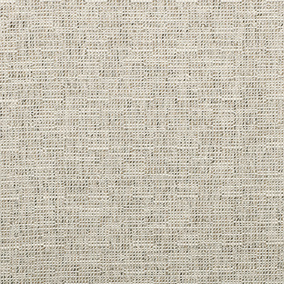 Kravet Smart 35518-1611 by Kravet Smart Designer Fabric
