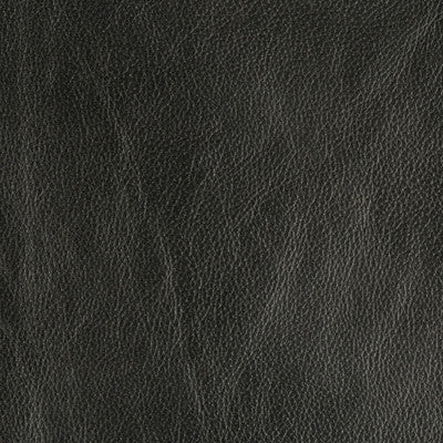 Trophy Graphite by Groundworks Designer Fabric