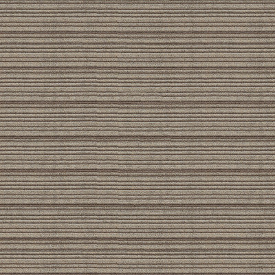 Thomas Velvet Grey by Groundworks Designer Fabric
