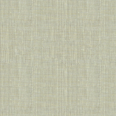 Kravet Basics 30299-2111 by Kravet Basics Designer Fabric