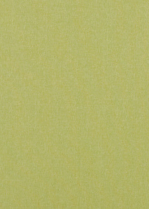 Carnival Plain Lime by Baker Lifestyle Designer Fabric