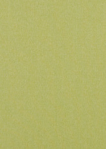 Carnival Plain Lime by Baker Lifestyle Designer Fabric