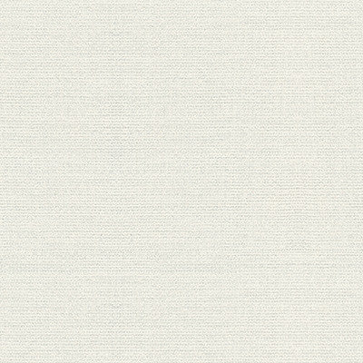 Kravet Basics 4502-101 by Kravet Basics Designer Fabric