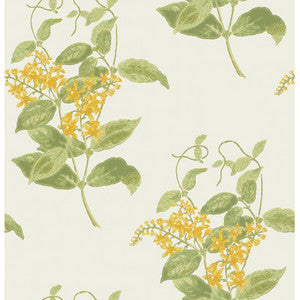 Madras Violet Yellow by Cole & Son Designer Wallcovering