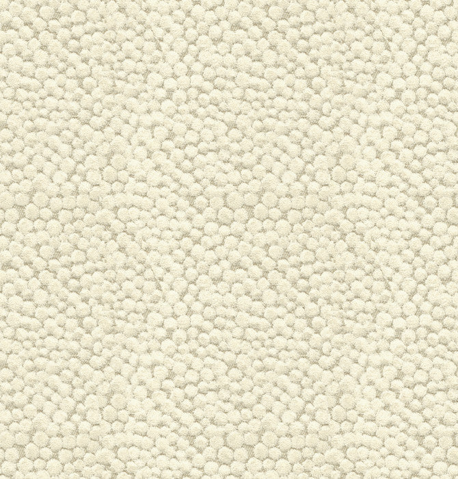 Lembury Ivory by Baker Lifestyle Designer Fabric