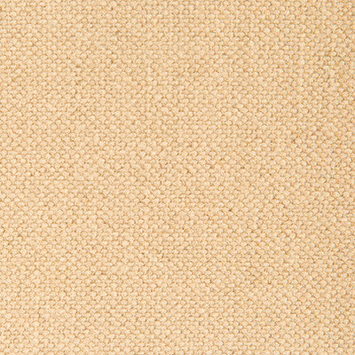 Nicaragua Natural by Gaston Y Daniela Designer Fabric