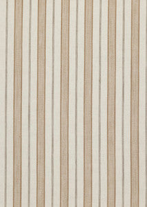 Stirling Taupe by Threads Designer Fabric