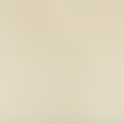 Sidney Papyrus by Kravet Contract Designer Fabric