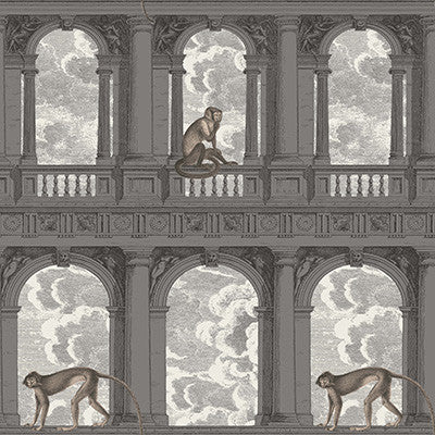 Procuratie Con Vista Soot & Snow by Cole & Son Designer Wallcovering