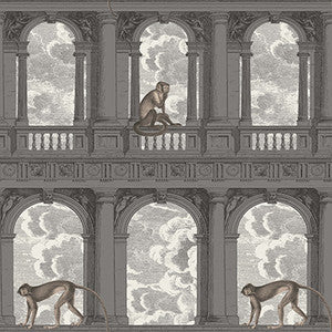 Procuratie Con Vista Soot & Snow by Cole & Son Designer Wallcovering