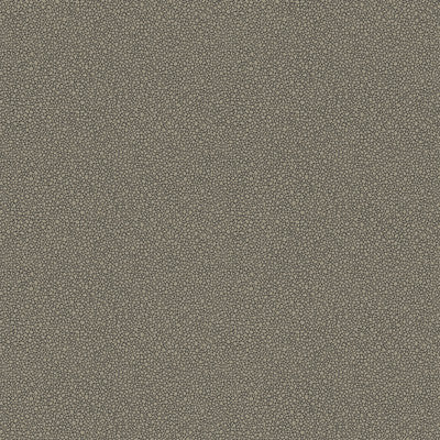 Goldstone Black & Silver by Cole & Son Designer Wallcovering