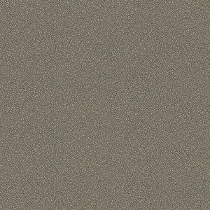 Goldstone Black & Silver by Cole & Son Designer Wallcovering