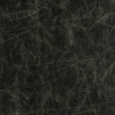 Notorious Black by Groundworks Designer Fabric