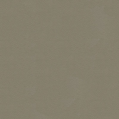 Kravet Design Ali-11 by Kravet Design Designer Fabric