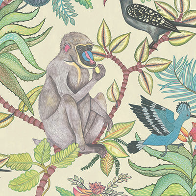 Savuti Cream Multi by Cole & Son Designer Wallcovering