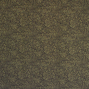 Lanetta-6 by Kravet Design Designer Fabric