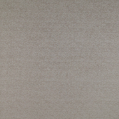Santa Ana Lino by Gaston Y Daniela Designer Fabric