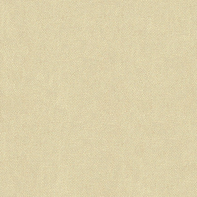 Kravet Couture 34074-111 by Kravet Couture Designer Fabric