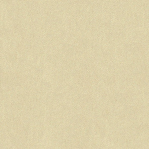 Kravet Couture 34074-111 by Kravet Couture Designer Fabric