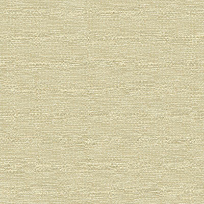 Kravet Smart 33831-1001 by Kravet Smart Designer Fabric
