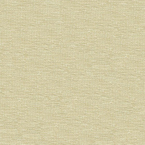 Kravet Smart 33831-1001 by Kravet Smart Designer Fabric