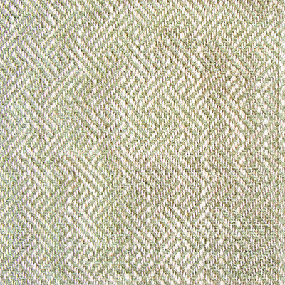Enea Verde Claro by Gaston Y Daniela Designer Fabric