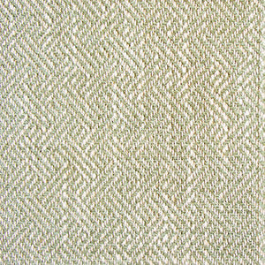 Enea Verde Claro by Gaston Y Daniela Designer Fabric