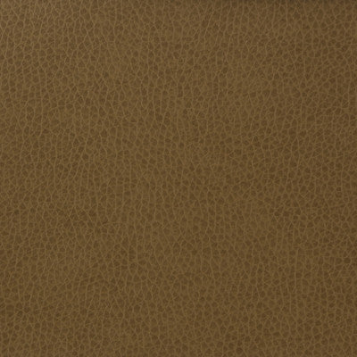 Kravet Basics Matter-606 by Kravet Basics Designer Fabric